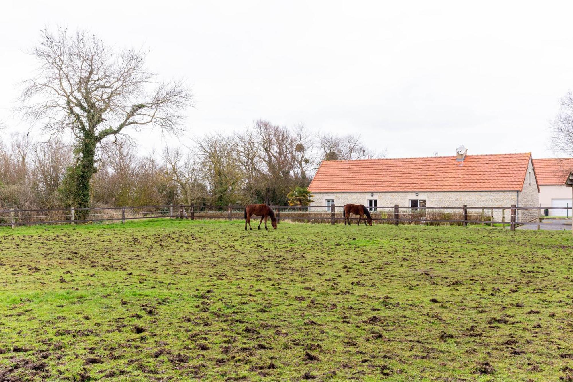 La Pecherie D'Utah Audouville-la-Hubert Buitenkant foto